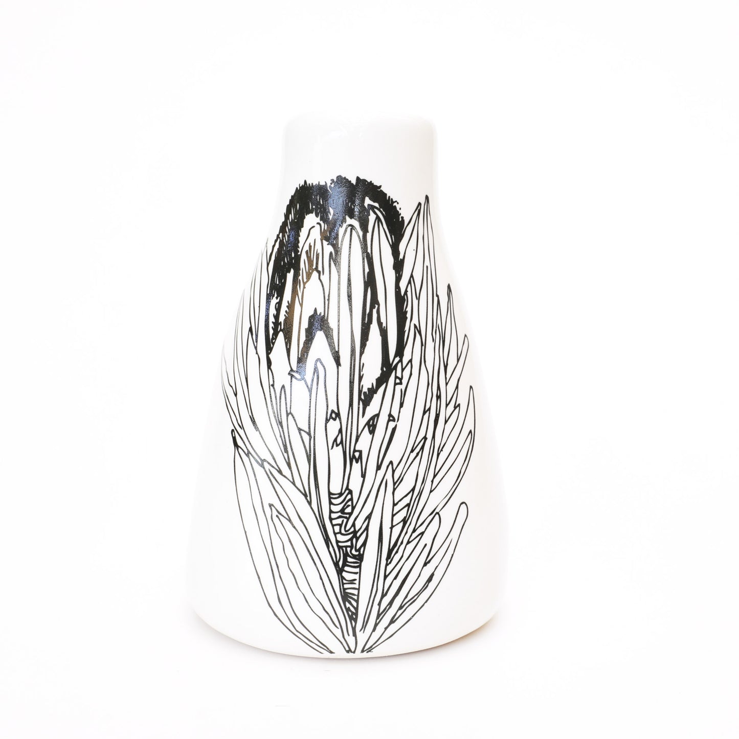 Short Vase – Sugarbush Protea