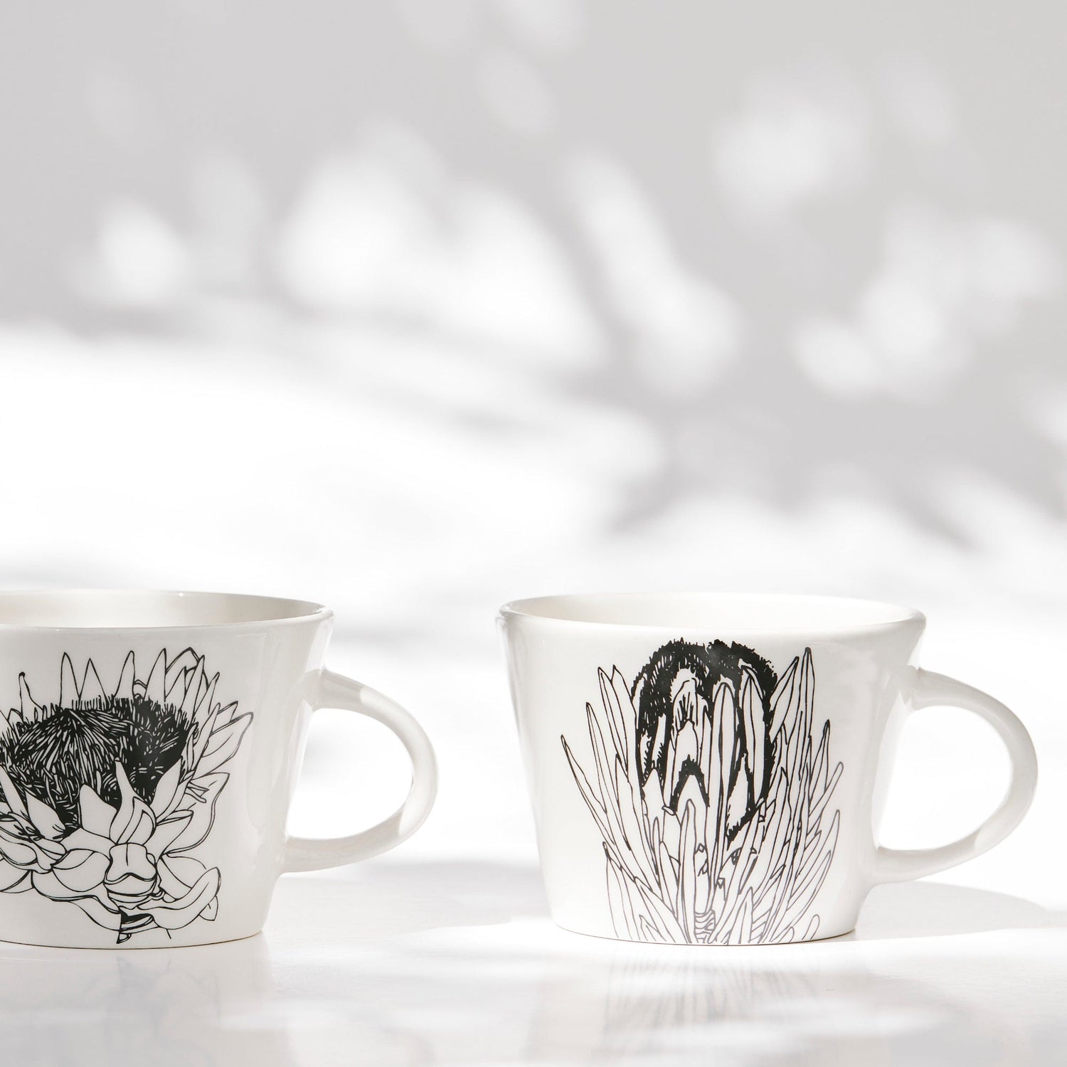 Large Cups