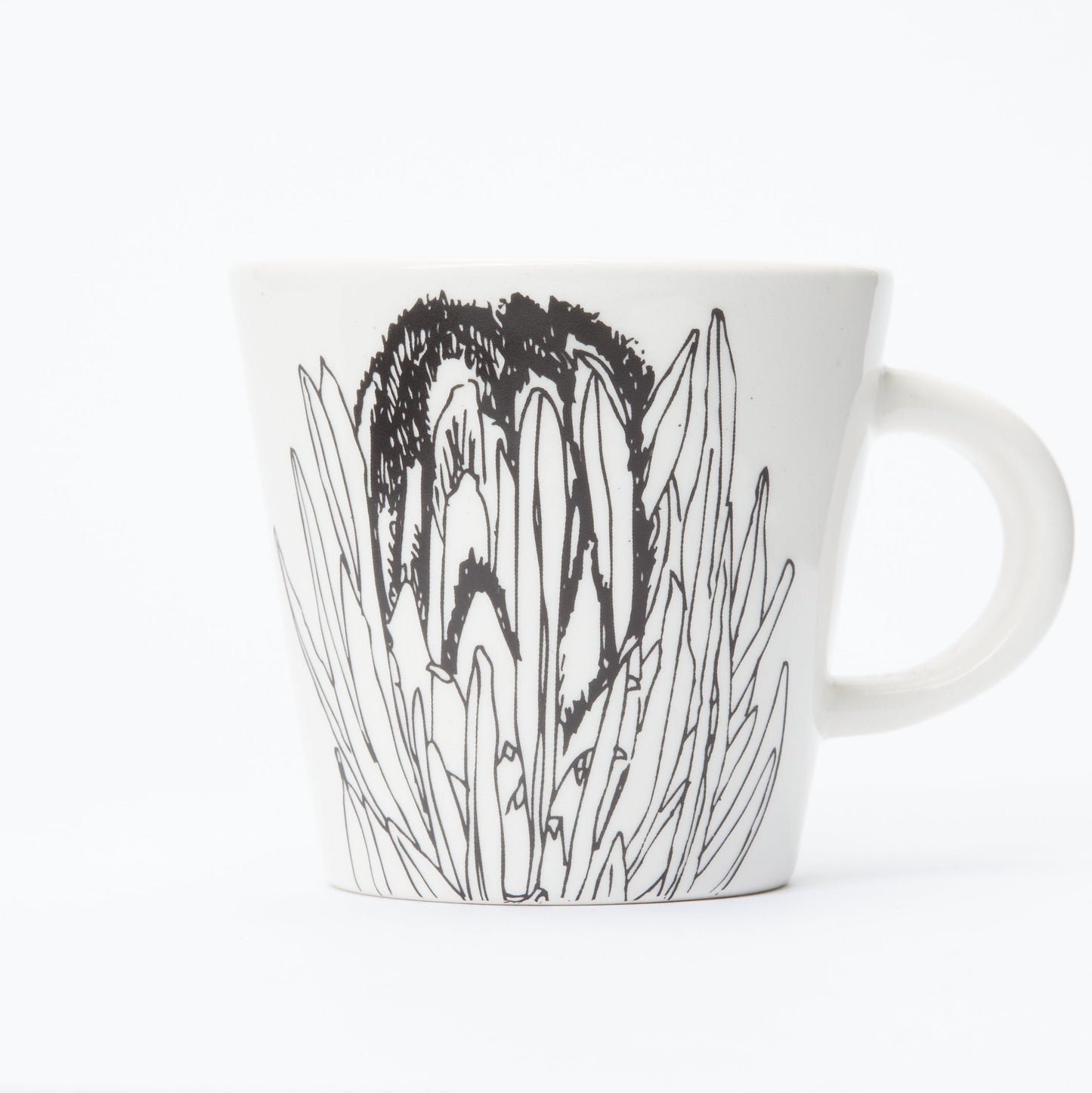 Coffee Cup – Sugarbush Protea